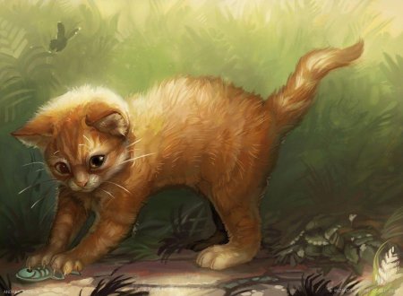 Рыжий котенок коты воители