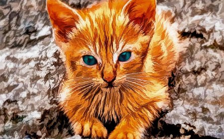 Рыжий кот картина