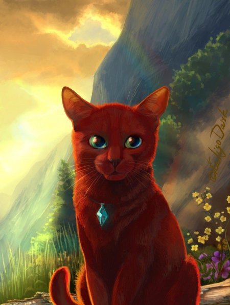 Коты воители red