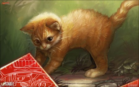 Рыжий котенок коты воители