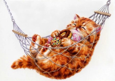 Кот в гамаке