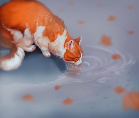 Рыжий кот арт