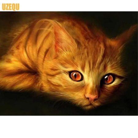 Рыжие котики