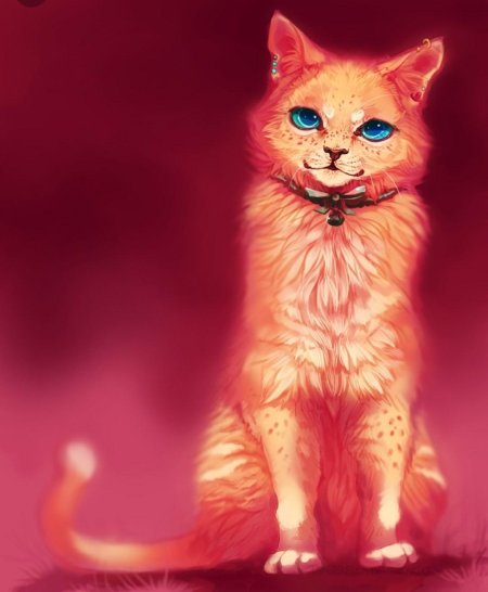 Коты воители рыжий кот