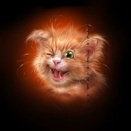 Рыжий кот улыбается