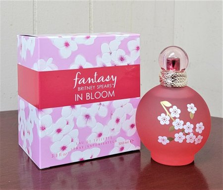 Britney spears in bloom fantasy