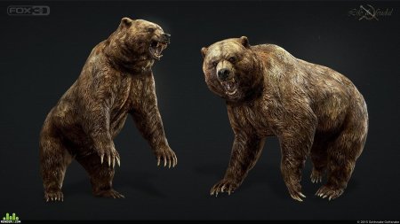 Бурый медведь д модель