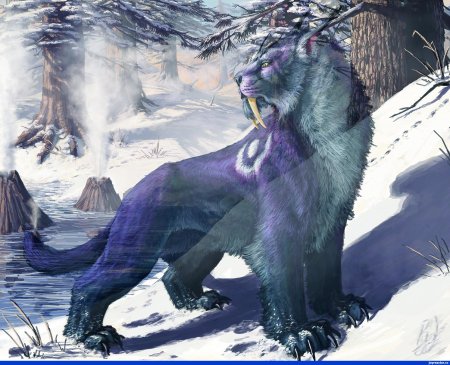 Варкрафт друид медведь