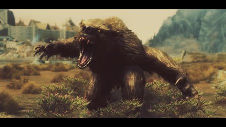 Вербер медведь оборотень