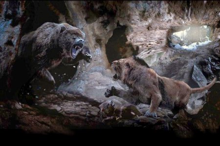 Пещерный лев и медведь