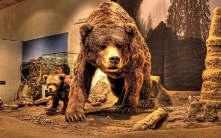 Урсус пещерный медведь