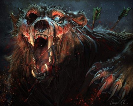 Медведь в ярости