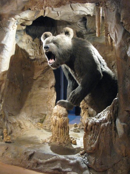 Урсус пещерный медведь