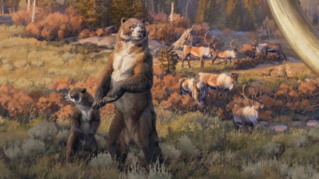 Гигантский короткомордый медведь