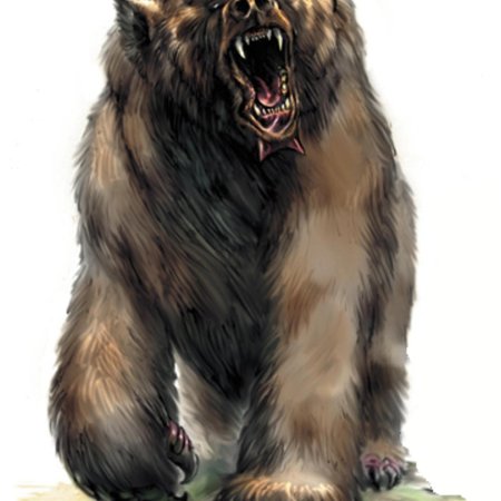 Пещерный медведь днд