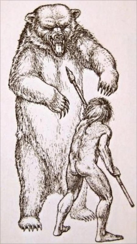 Первобытный медведь