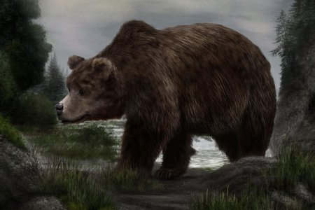 Пещерные медведи