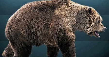Пещерный медведь ursus spelaeus