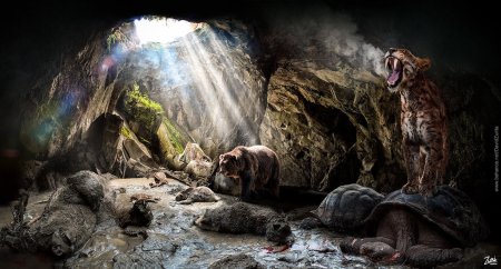 Пещерный медведь ursus spelaeus