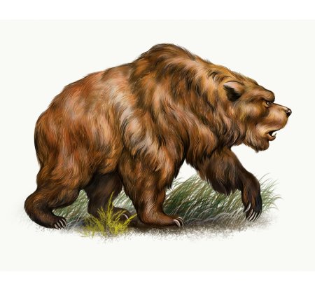 Пещерный медведь ursus spelaeus