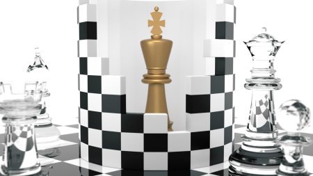 Шахматы черный король белый ферзь