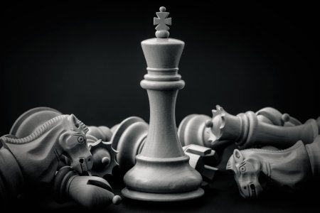 Chess king
