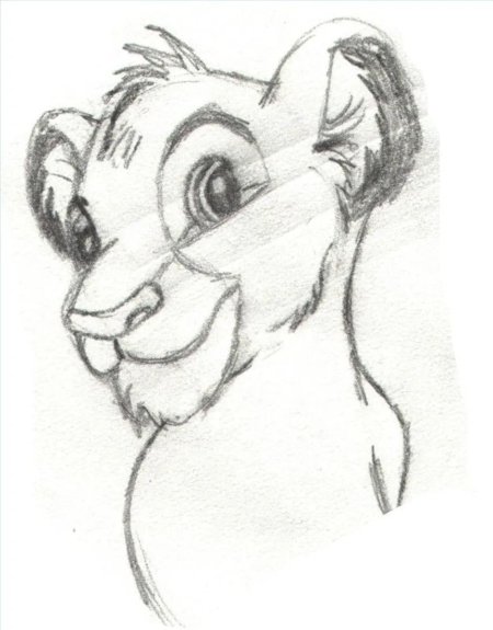 Король лев для срисовки