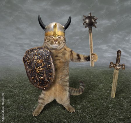 Кот викинг