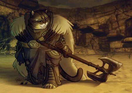 The elder scrolls каджит