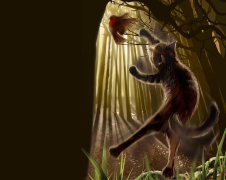 Охотник коты воители