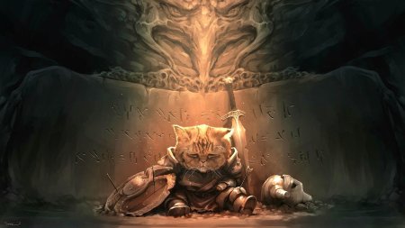 Скайрим кот довакин