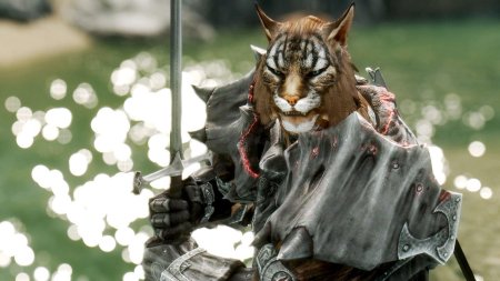 Скайрим каджит