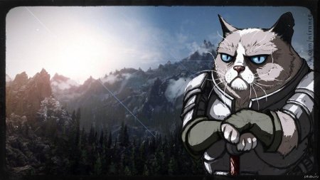 Довакин каджит