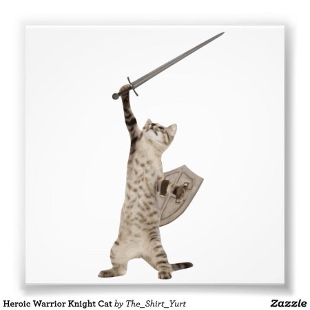 Кот с мечом