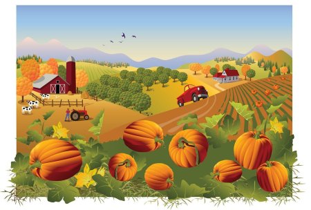 Поле с тыквами