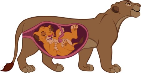 Король лев беременная сараби