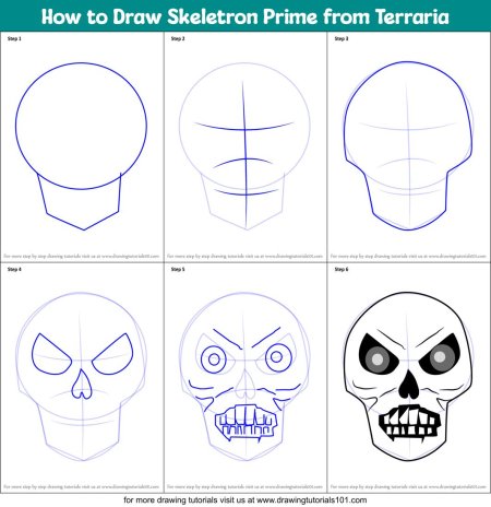 Поэтапное рисование черепа
