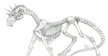 Дракон скелет