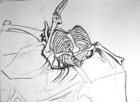 Рисунки скелет