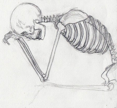 Рисунки скелет