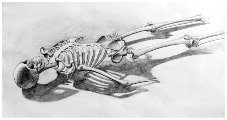 Скелет рисунок карандашом