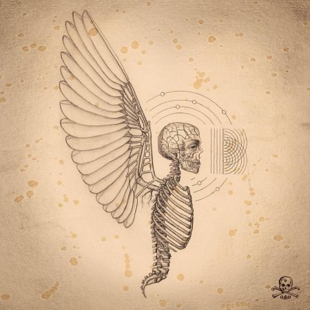 Рисунки скелет