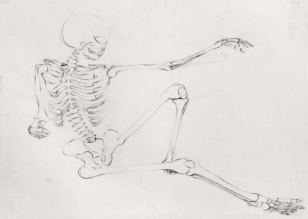 Скелет для срисовки карандашом