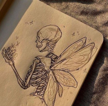 Скелет рисунки