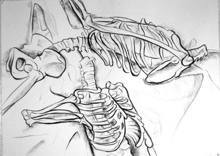 Рисунки для срисовки скелет