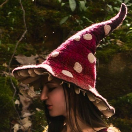 Ведьмина шляпа с грибами