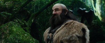 Хоббит гном двалин