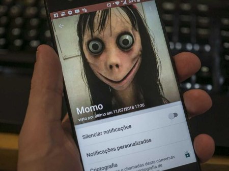 Номера момо