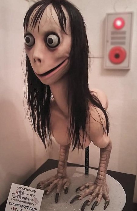 Момо в реальной жизни