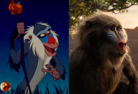 Рафики король лев фильм